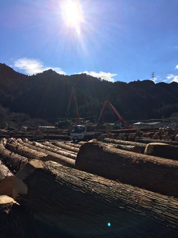 16142576_1878781275699604_3850888614120410545_n