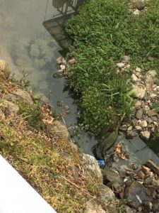 17554244_1912596915651373_7904282865323796441_n